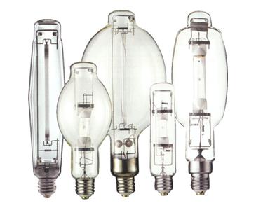 Grow light bulbs