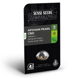 Afghan Pearl CBD Automatic