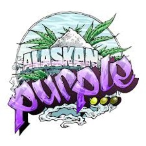 Alaskan Purple