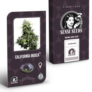 California Indica Feminized