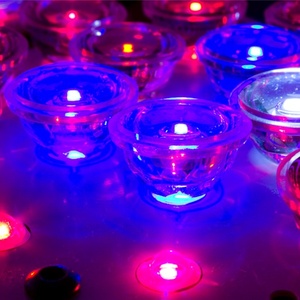 Kind LED K3 - L600